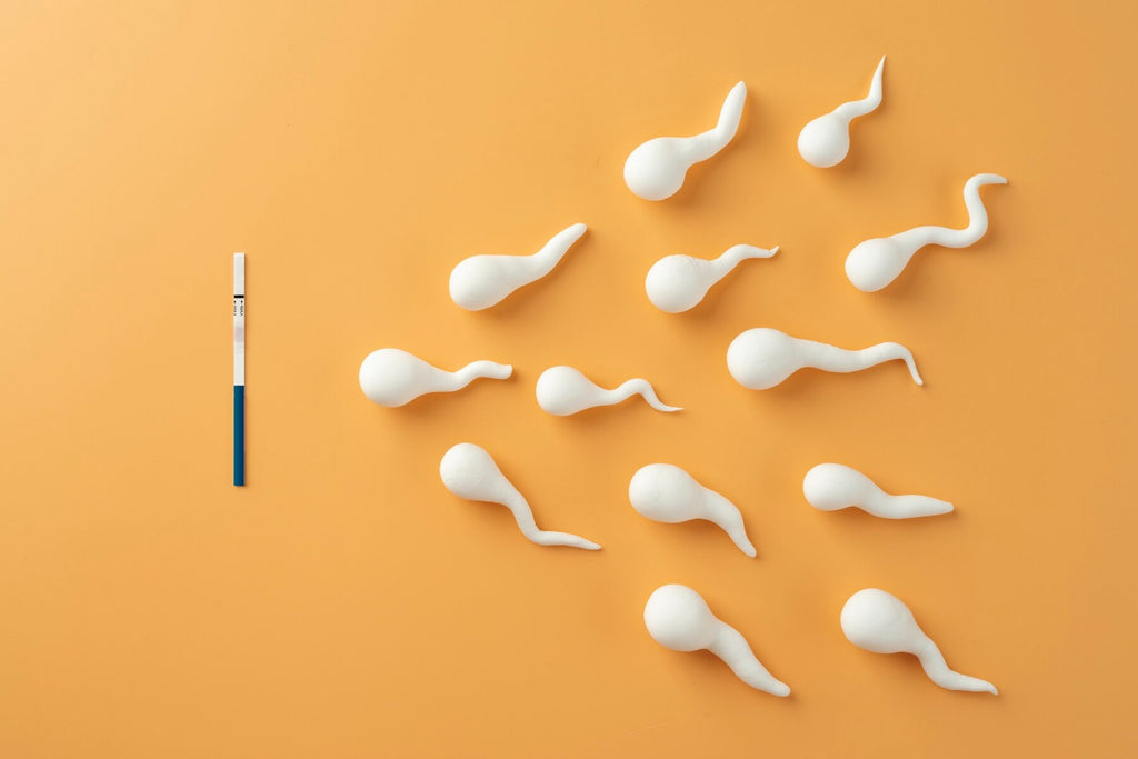 The Importance of Sperm Count and How to Test