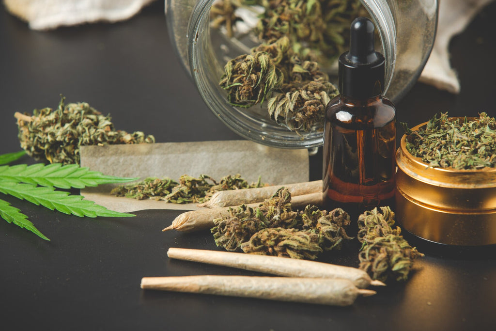 Cannabis and Male Fertility: Separating Fact from Fiction